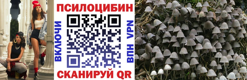 цены   Большой Камень  OMG tor  Псилоцибиновые грибы мухоморы 