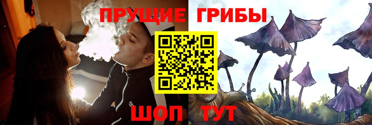Псилоцибиновые грибы GOLDEN TEACHER Большой Камень