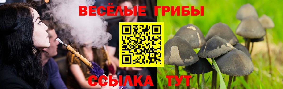 Большой Камень  магазин продажи наркотиков  Вход с VPN  Галлюциногенные грибы ЛСД 