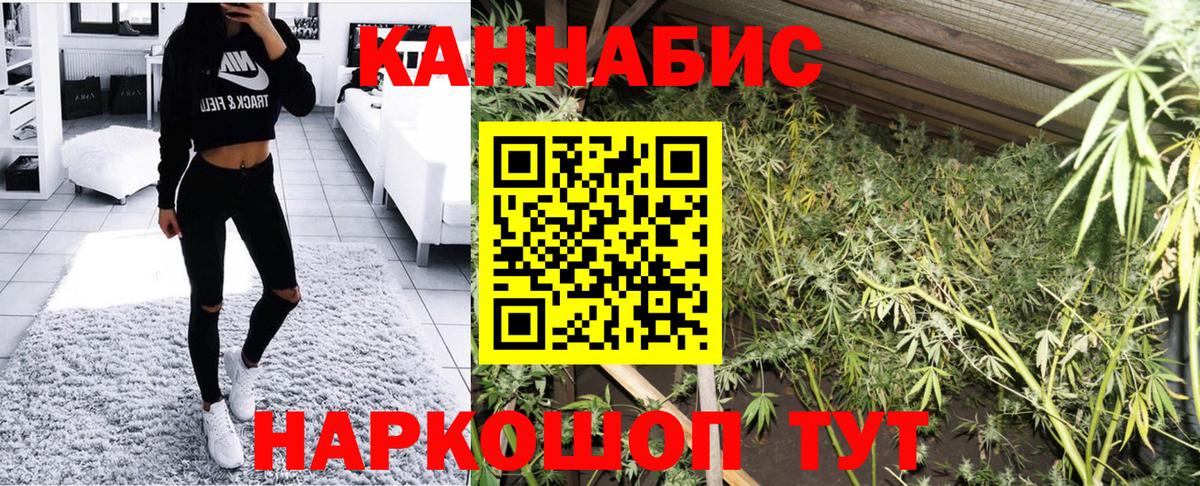 Бошки марихуана планчик  Канабис OG Kush  Большой Камень  Вход с VPN 