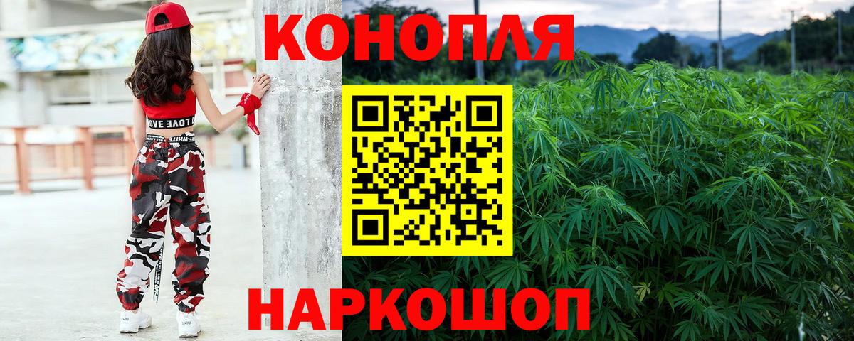Шишки марихуана OG Kush Большой Камень